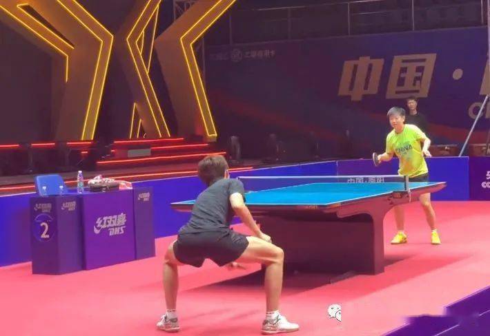 内专家对这 内专家对这